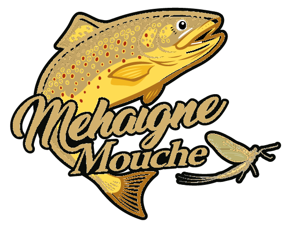 Mehaigne Mouche, club de pêche à la mouche